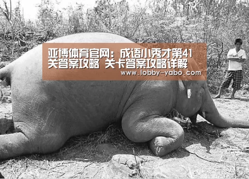 亚博体育官网:成语小秀才第41关答案攻略 关卡答案攻略详解(图2) 亚博体育官网